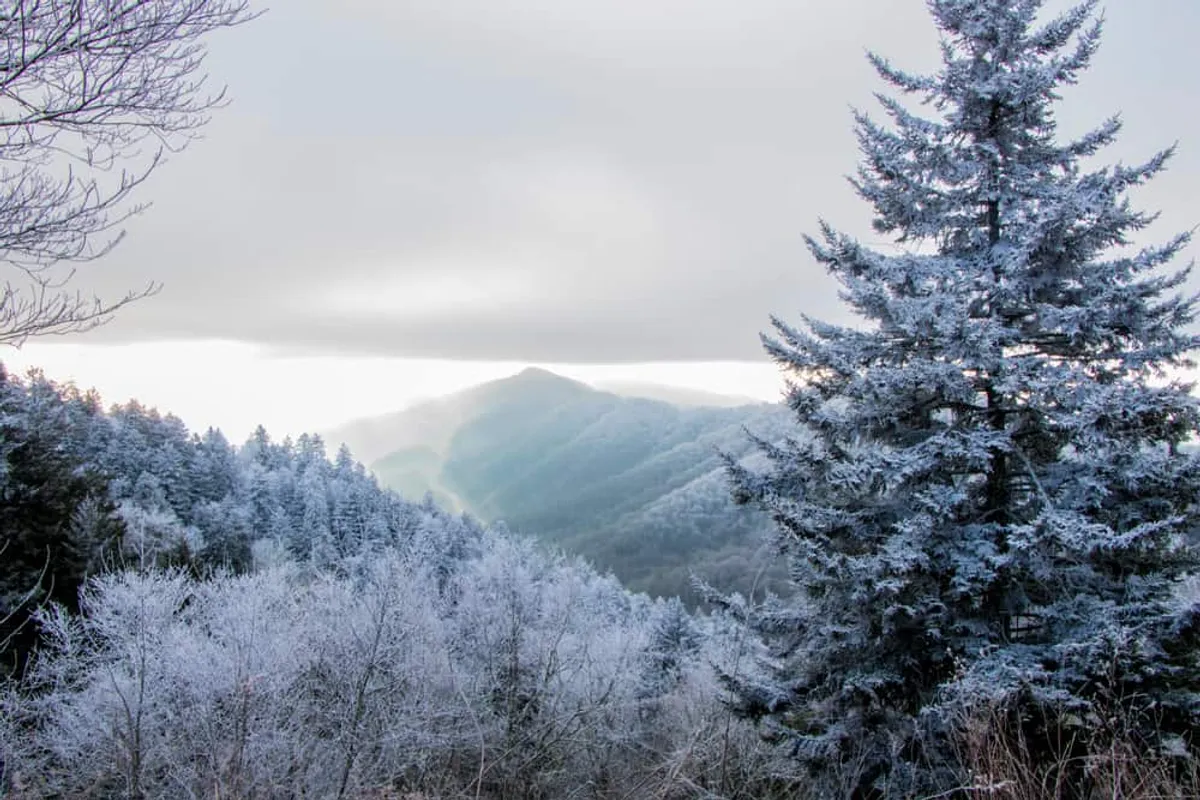 A panoramic view of snow-capped mountains and frosted trees under a cloudy sky. The landscape highlights the dramatic natural beauty that groups can explore, evoking the adventure of hiking and outdoor exploration in all seasons.