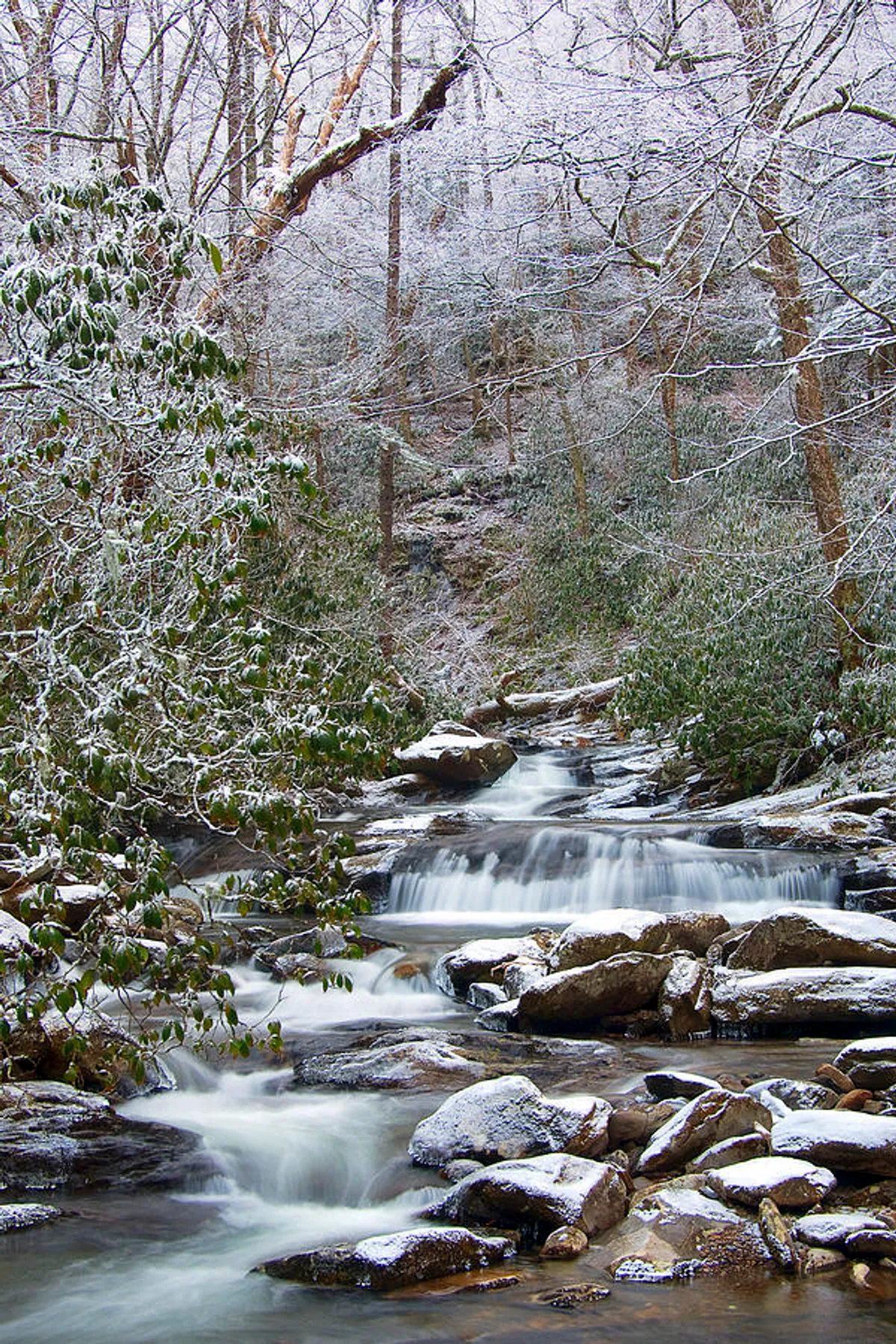 A serene wintry stream flows gently through a wooded area, with snow-covered rocks and lush greenery along the banks. The tranquil water and surrounding trees evoke a sense of peaceful seclusion and natural beauty.