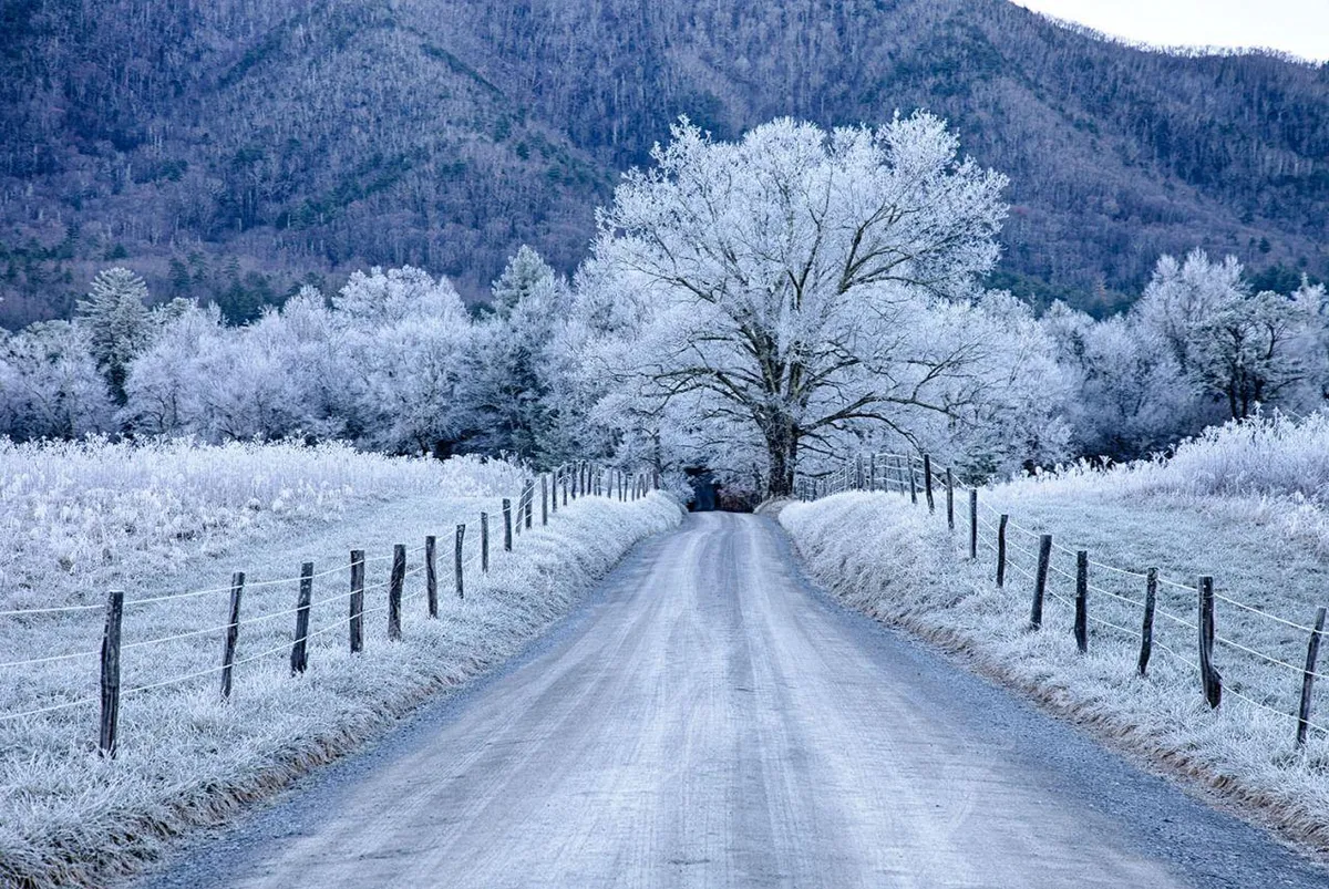 A tranquil winter scene featuring a frost-covered tree, gravel road winding into the distance, fenced fields, and a dramatic mountain backdrop. The landscape feels open and inviting, with crisp air and a sense of adventure awaiting just beyond the cabin.