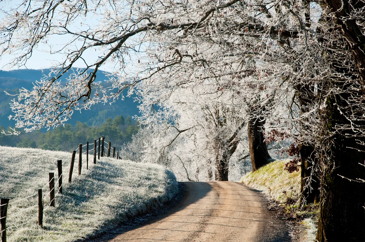 A quiet, frost-covered country road winds through scenic pastureland lined with trees and a rustic fence. The atmosphere is calm and invites exploration or a peaceful walk in nature.